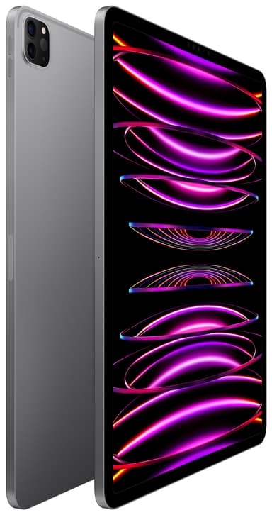 iPad Pro 12.9" 2022 2 TB WiFi (space gray )