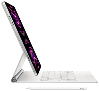 iPad Pro 12.9" 2022 1 TB WiFi + Cellular (silver )