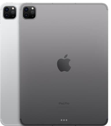 iPad Pro 11" 2022 1 TB WiFi + Cellular (space gray )