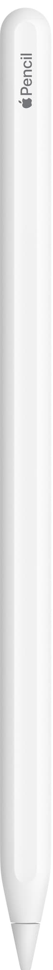 Apple Pencil (1st Gen)