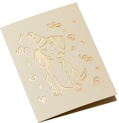Cricut Cut-Away kort R40 (neutral)