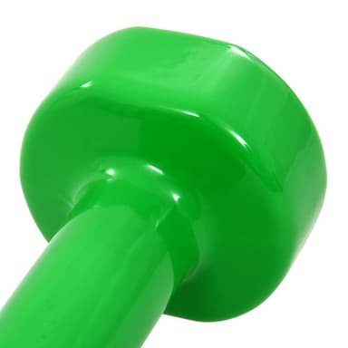 vidaXL Hantlar 2 st 4 kg gjutjärn grön