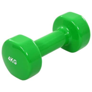 vidaXL Hantlar 2 st 4 kg gjutjärn grön