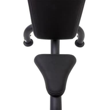 Master Fitness Royal Utility Bench, Träningsbänk