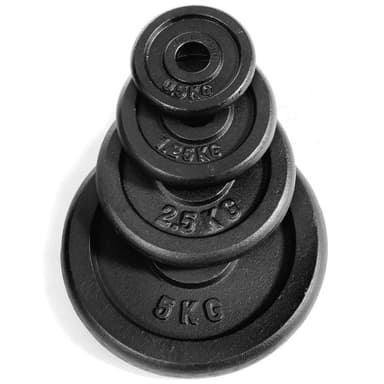 Abilica Viktskivor 25mm, Viktskiva Järn 20 kg