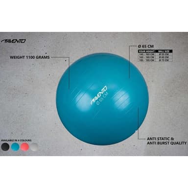 vidaXL Gymnastikboll svart 65 cm