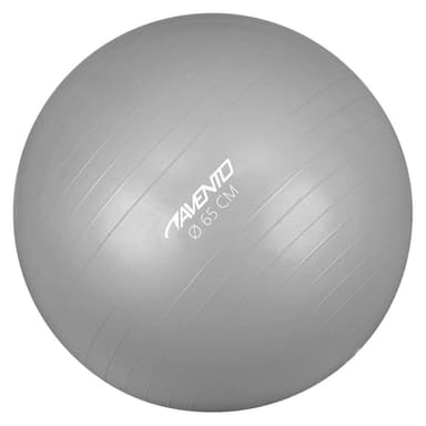 vidaXL Gymnastikboll silver 65 cm