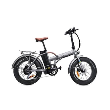 RAWBIKE Rawbike 4X