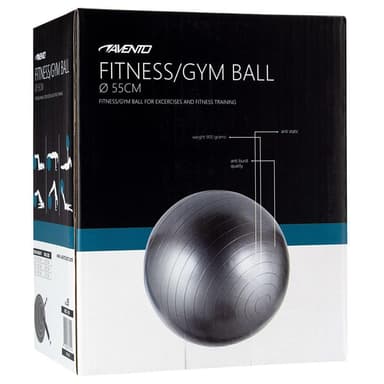 vidaXL Gymnastikboll silver 55 cm