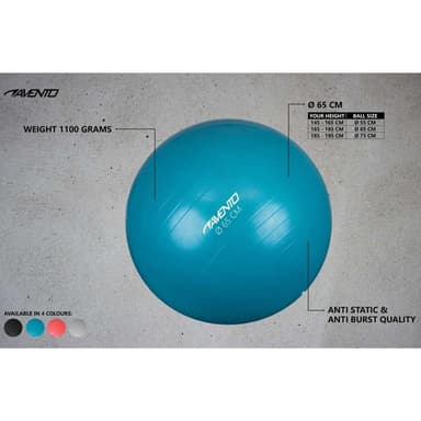 vidaXL Gymnastikboll silver 65 cm