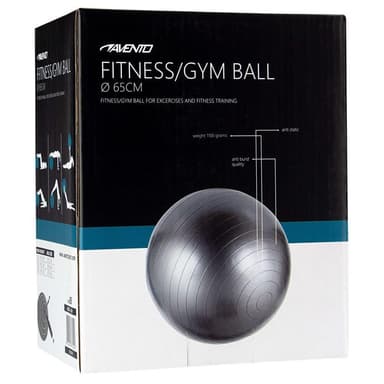 vidaXL Gymnastikboll silver 65 cm