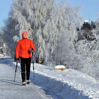 BungyPump Energy Gåstav, Gångstavar