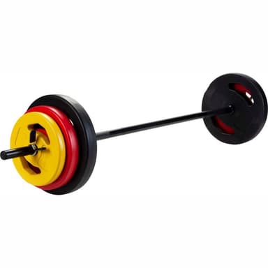 vidaXL Skivstång set 20 kg
