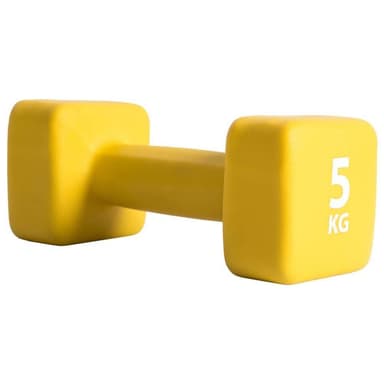 vidaXL Hantel neopren 5 kg