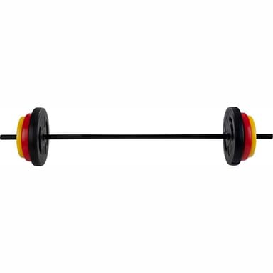vidaXL Skivstång set 20 kg