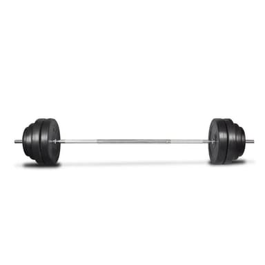 vidaXL Skivstång med vikter 60 kg