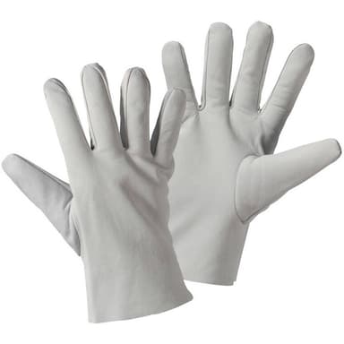 Nappa Arbetshandske Storlek (handskar): 10, XL EN 388