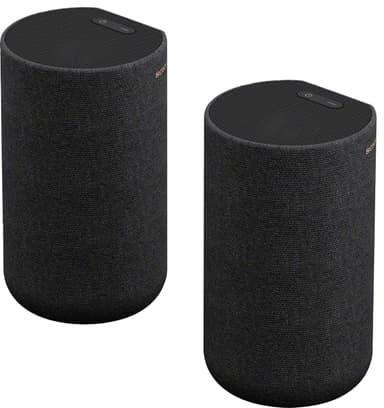 Sony SA-RS5 trådlösa bakre högtalare