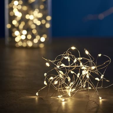 Day Ljusslinga - Mini-LED med varmt vitt ljus (50cm)