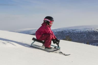 STIGA Snowracer Iconic Teal/Black