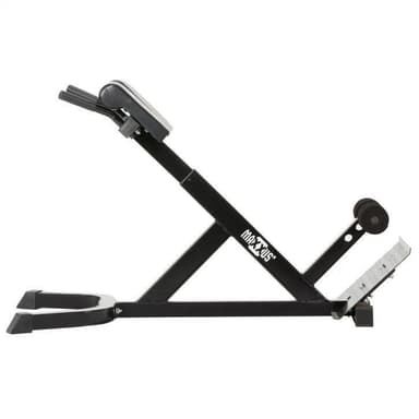 MAXXUS Ryggresning Hyperextension, Ryggbänk