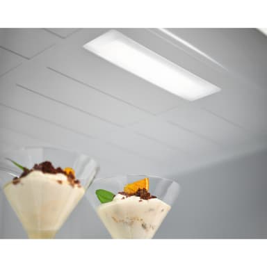 Electrolux Serie 600 Kyl/Frys ENT5ME32W (vit)