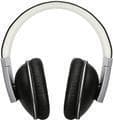 Polk Audio Buckle Black/Silver