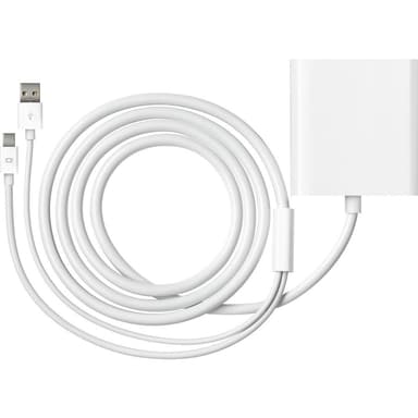 Apple Mini DisplayPort-Dual DVI