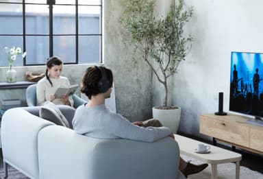 Sony trådlösa around-ear hörlurar MDR-RF895RK (svart)