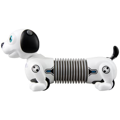 Junior Robo Dackel