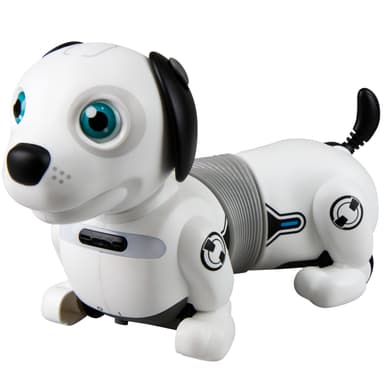 Junior Robo Dackel