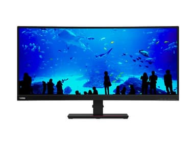 LENOVO ThinkVision T34w-20 34inch (EU)