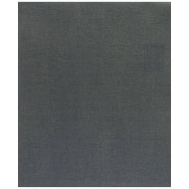 Bosch Accessories C355 2608608H67 Slippapper Kornighet