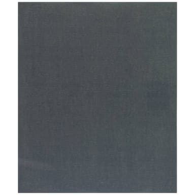 Bosch Accessories C355 2608608H68 Slippapper Kornighet
