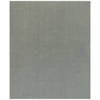 Bosch Accessories C355 2608608H69 Slippapper Kornighet