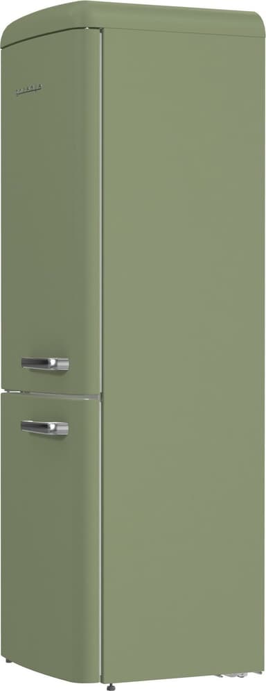 Gorenje Kyl/frys 739931 (Oliv)