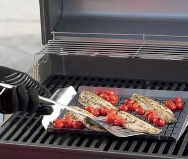 Weber Style Grillform