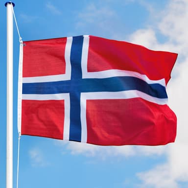 tectake Aluminium Flaggstång - Norge