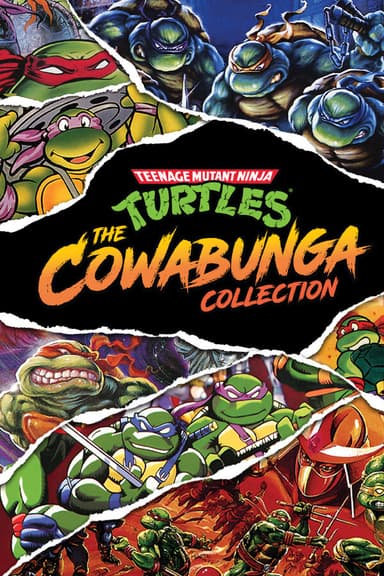 Teenage Mutant Ninja Turtles: The Cowabunga Collection - PC Windows