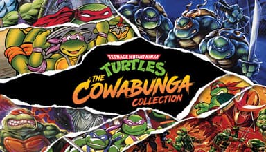Teenage Mutant Ninja Turtles: The Cowabunga Collection - PC Windows