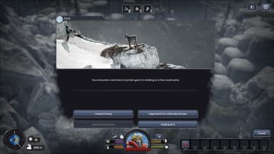 Insurmountable - Supporter Pack - PC Windows