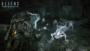 Aliens: Fireteam Elite - Into the Hive Edition - PC Windows