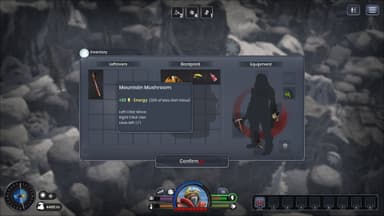 Insurmountable - Supporter Pack - PC Windows