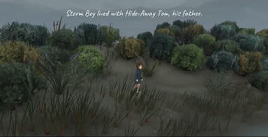 Storm Boy - PC Windows,Mac OSX