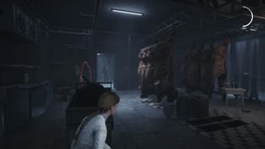 Remothered: Broken Porcelain - PC Windows