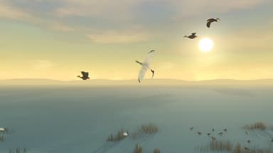Storm Boy - PC Windows,Mac OSX