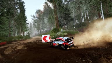 WRC 10 FIA World Rally Championship - PC Windows