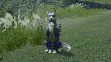 MONSTER HUNTER RISE Deluxe Kit - PC Windows