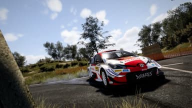 WRC 10 FIA World Rally Championship - PC Windows