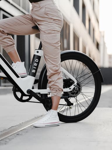 Bird V-Frame elcykel VA00067